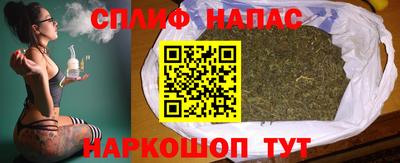 мдпв Донской