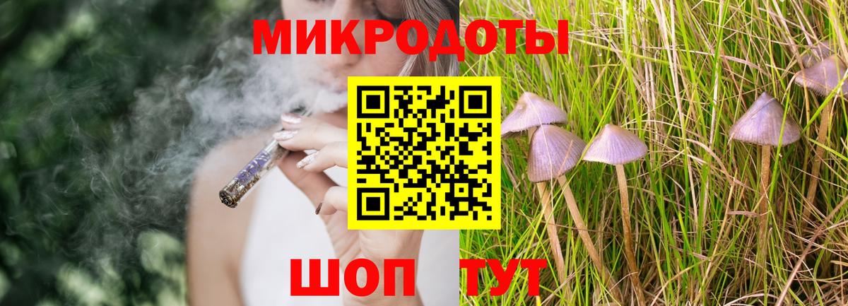Псилоцибиновые грибы Psilocybine cubensis Люберцы
